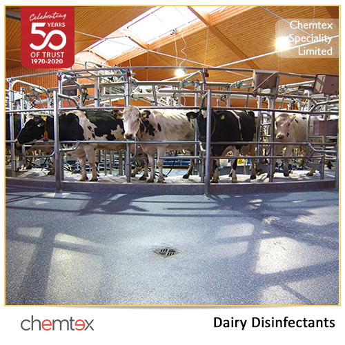 Dairy Disinfectants Grade: Food Grade