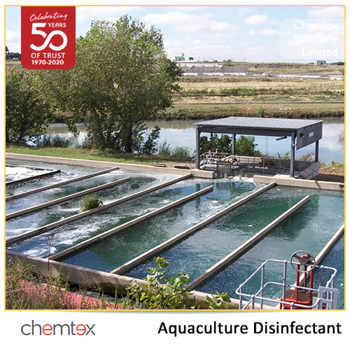 Aquaculture Disinfectant Grade: Medicine Grade