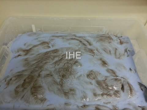 भारतीय बाल