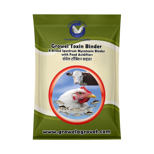 टॉक्सिन बाइंडर