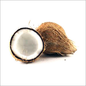 भूरा नारियल