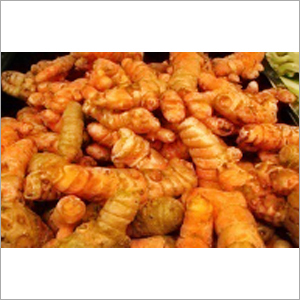 हरिद्रा हल्दी