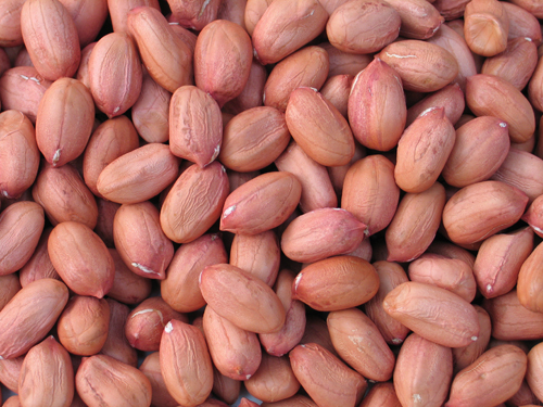 रेडस्किन मूंगफली