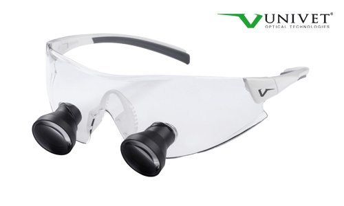 क्विक लूप्स