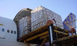 कार्गो और शिपिंग सेवा एजेंट