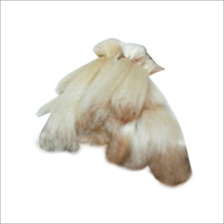 रंगीन मानव बाल