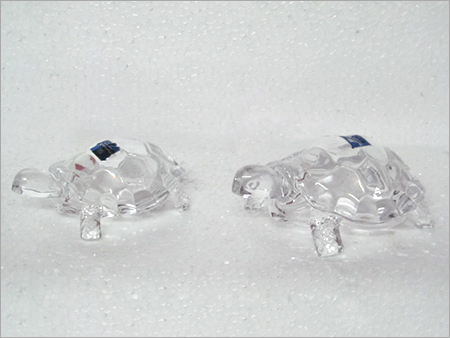 टर्टल बिग