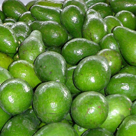 एवोकाडो