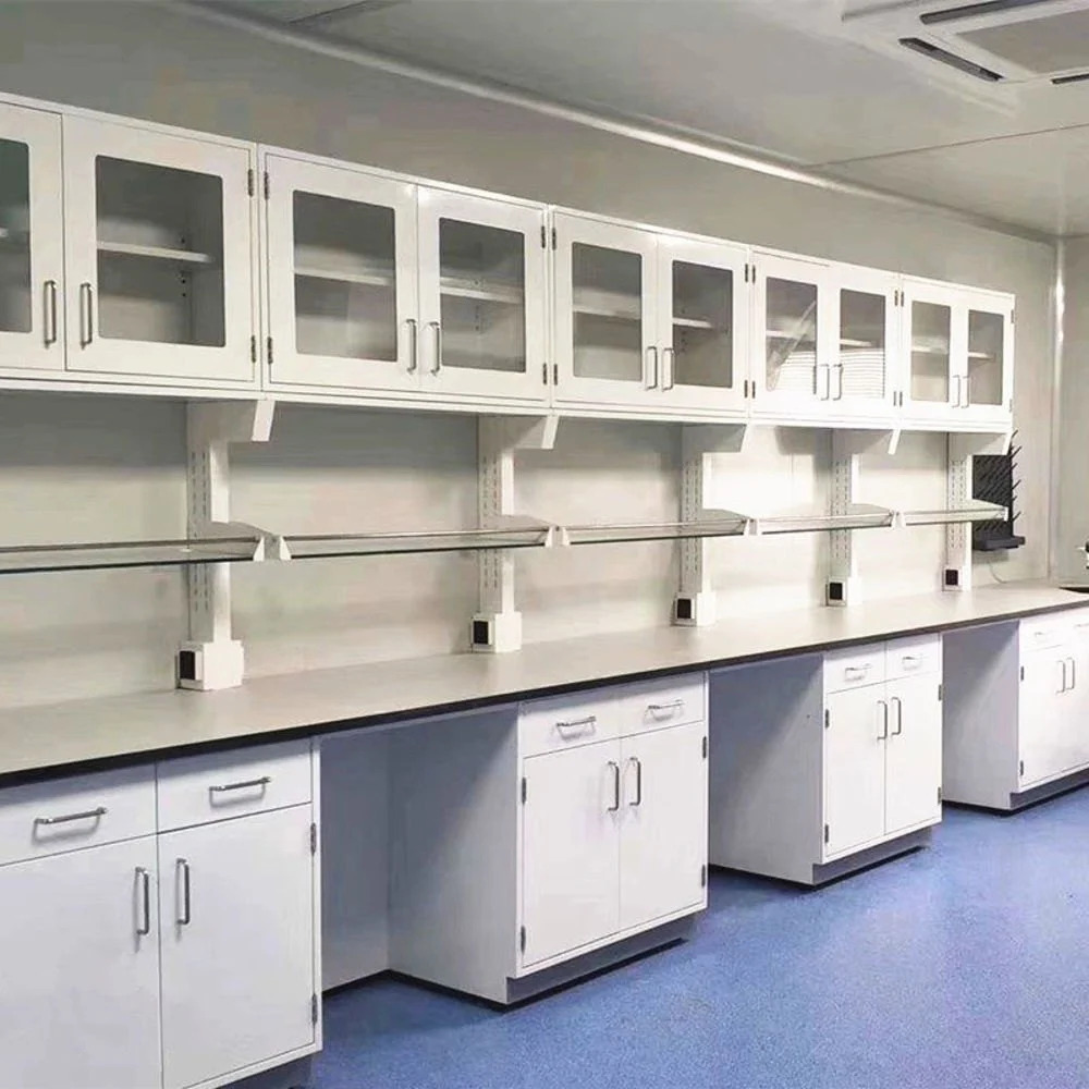 Lab Furniture - Wood & Stainless Steel, Customizable Size & Shape, Glossy Powder Coated Finish, Wall-Mounted & Floor-Standing Options