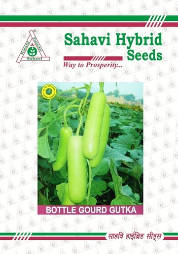 Green Bottle Gourd Gutka Seeds