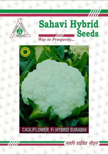 White And Green Cauliflower F1 Hybrid Surabhi