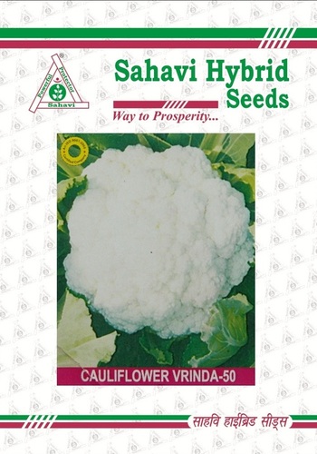 White And Green Cauliflower Vrinda-50