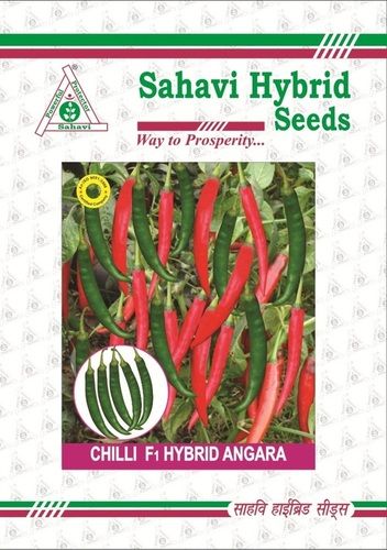 Red And Green Chilli F-1 Hybrid Angara