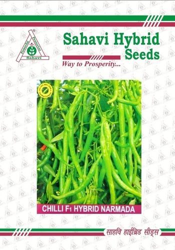 Green Chilli F1 Hybrid Narmada