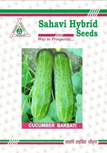 Cucumber Barsati - Green Hybrid Vegetable Seeds | 99% Purity, Edible Variety
