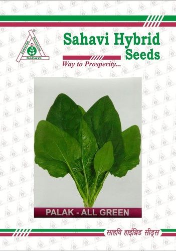 Hybrid Seeds Palak - All Green