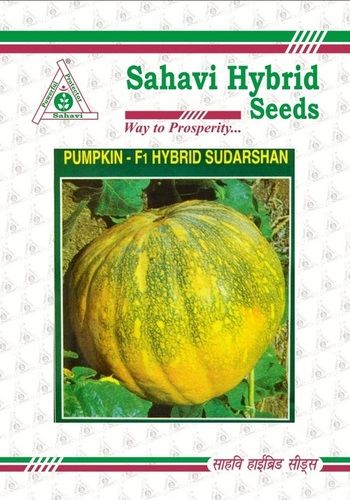 Green And Yellow Pumpkin F1 Hybrid Sudarshan