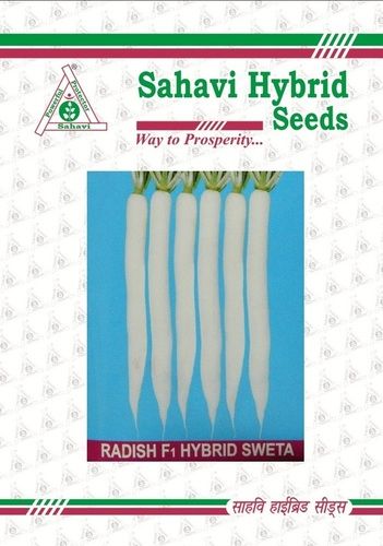 White Radish F-1 Hybrid Sweta