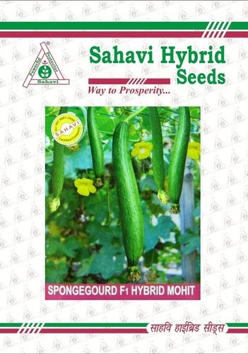 Green Spongegourd F1 Hybrid Mohit