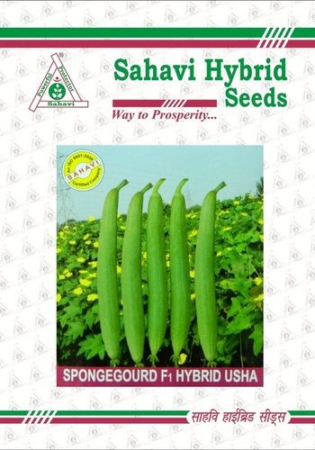 Green Sponge Gourd F1 Hybrid Usha