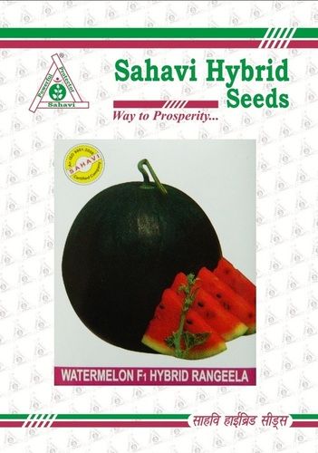 Dark Green Watermelon F1 Hybrid Rangeela