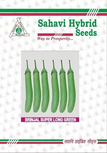 Hybrid Seeds Brinjal Super Long Green