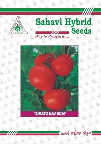 Red Tomato Nav Uday