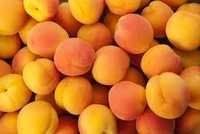 Dried Apricots