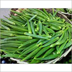 Lady Finger