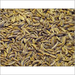 Jira Seed