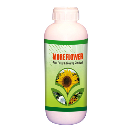 मोरे फ्लावर प्लांट ग्रोथ रेगुलेटर