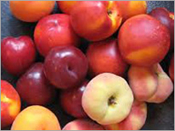 पाथर के फल