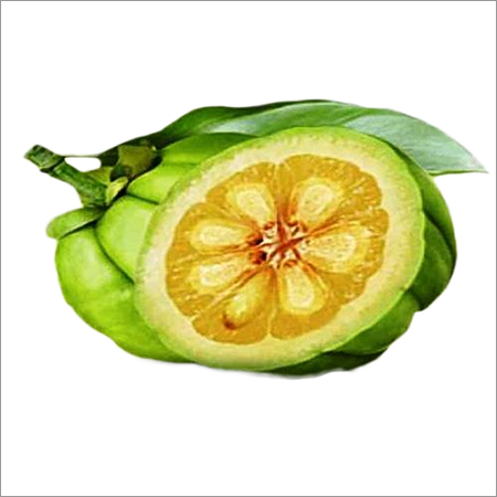 GARCINIA CAMBOGIA EXTRACT