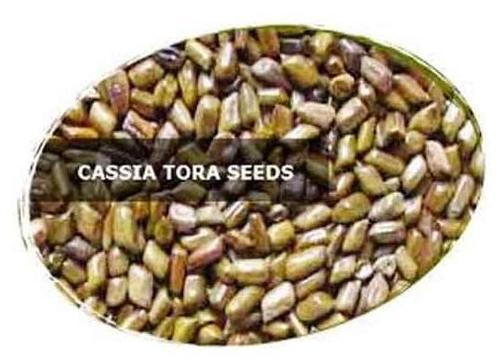 CASSIA TORA SEEDS