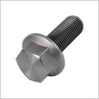 निकला हुआ किनारा बोल्ट