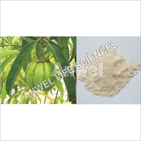 Garcinia Cambogia Extract