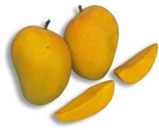 आम