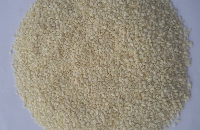 Hulled Sesame Seed - Purity 99.95%-99.98%, Oil Content 48-50% Max, Moisture 4.5-5% Max | Impurities Free, Reduces Cholesterol, Easy To Digest, No Added Colors