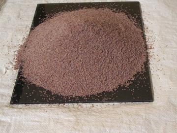 Psyllium Seeds 97% pure