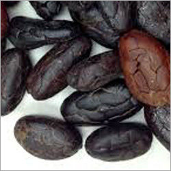 Nutrition Cocoa Beans