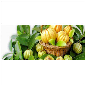 Garcinia Cambogia