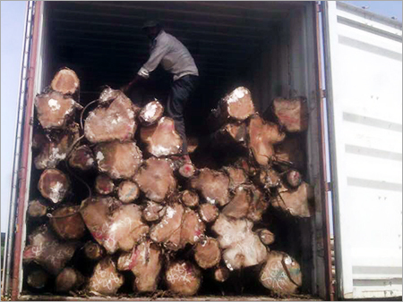 बर्मा टिक लकड़ी