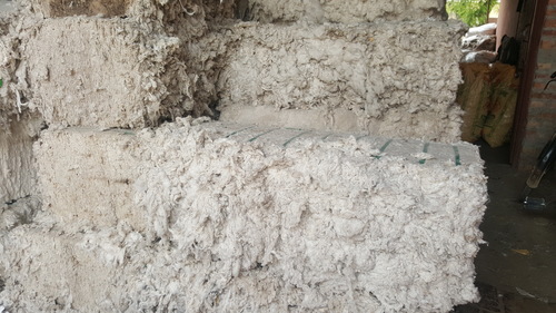 कच्चा कपास अपशिष्ट