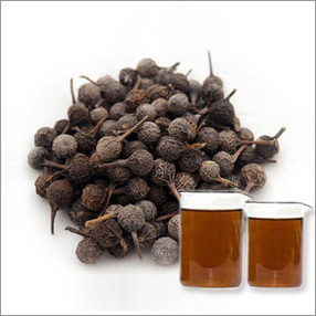 Cubeb Essential Oil