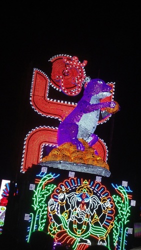 Red And Blue And Green Led Decorative Light