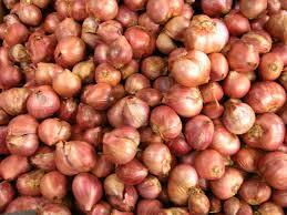 लाल शलजम