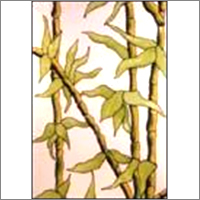 एफजी कला पैनल