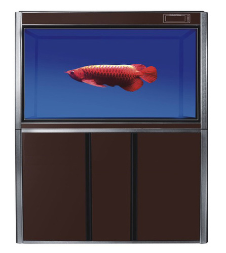 एक्वेरियम टैंक