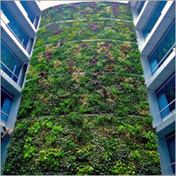 वर्टिकल गार्डनिंग