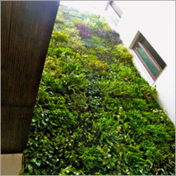 Vertical Garden at courtyard area